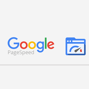google pagespeed insights - Wordpress Site Hızını Arttırmanın Yolları