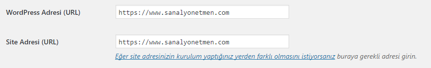 Wordpress Https Kurulum Ayarı